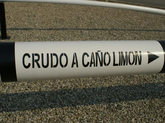 Caricare Caño Limón