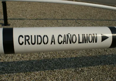 Caricare Caño Limón